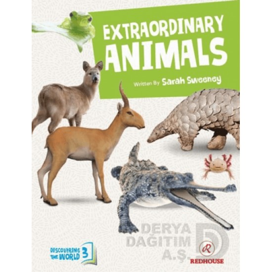 REDHOUSE / EXTRAORDINARY ANİMALS