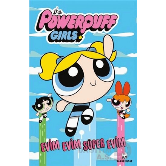 RAKUN KİTAP / EVİM EVİM SÜPER EVİM