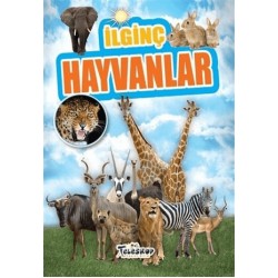 TELESKOP / İLGİNÇ HAYVANLAR