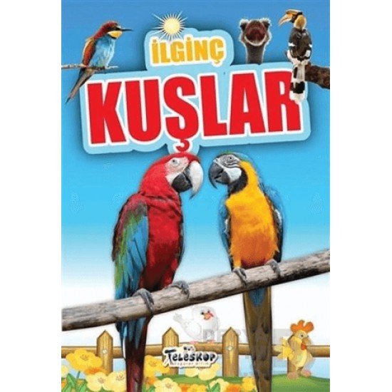 TELESKOP / İLGİNÇ KUŞLAR