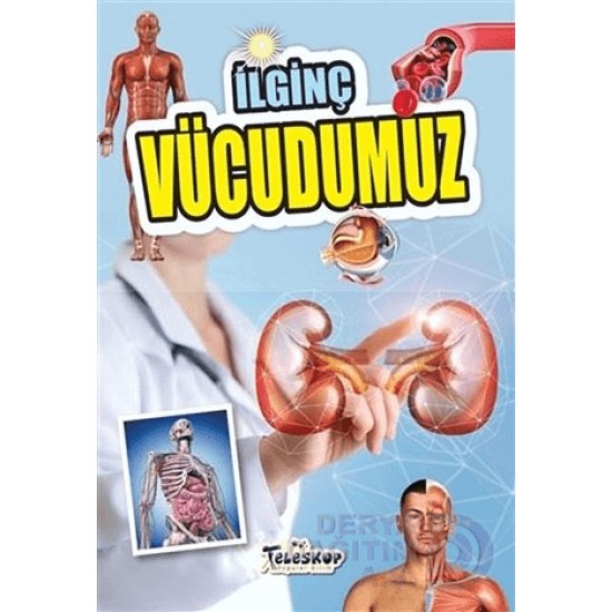 TELESKOP / İLGİNÇ VÜCUDUMUZ