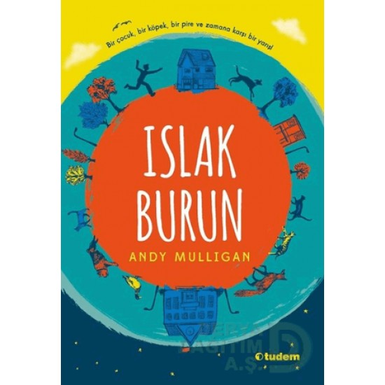 TUDEM  / ISLAK BURUN