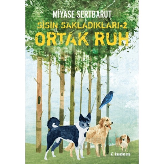 TUDEM /  SİSİN SAKLADIKLARI - 2 (853474) ORTAK RUH CİLTSİZ