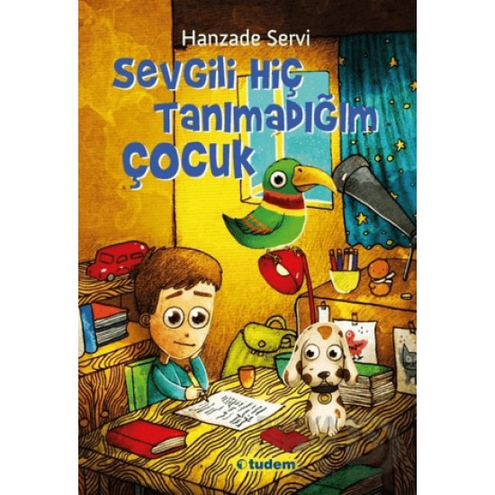 TUDEM  / SEVGİLİ HİÇ TANIMADIĞIM ÇOCUK - 1