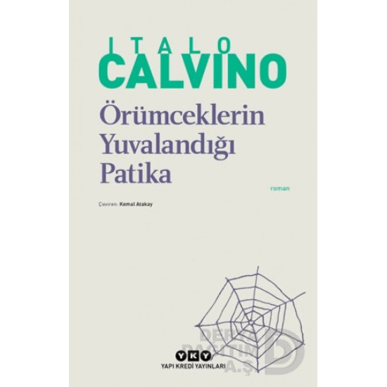 YKY / ÖRÜMCEKLERİN YUVALANDIĞI PATİKA