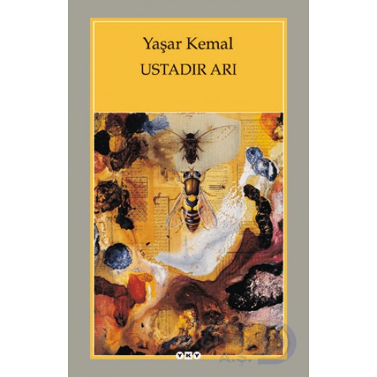 YKY / USTADIR ARI