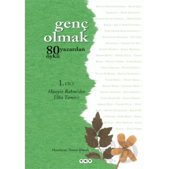 YKY / GENÇ OLMAK 80 YAZARDAN 80 ÖYKÜ 1. CİLT
