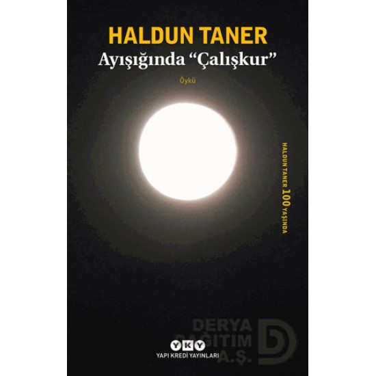 YKY / AYIŞIGINDA ÇALIŞKUR / HALDUN TANER