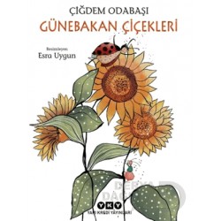 YKY / GÜNEBAKAN ÇİÇEKLERİ