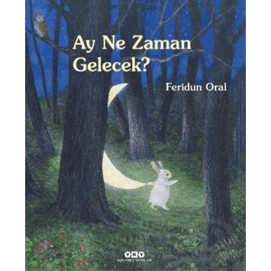 YKY / AY NE ZAMAN GELECEK ? (KARTON KAPAK)