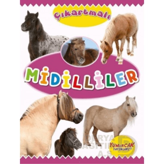 YUMURCAK / ÇIKARTMALI - MİDİLLİLER