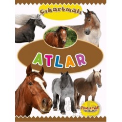 YUMURCAK / ÇIKARTMALI - ATLAR