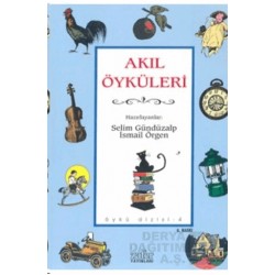 ZAFER YAY / AKIL ÖYKÜLERİ