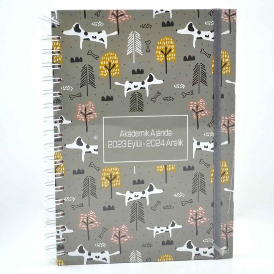LİZ AJAKDSP 17X24 SPR AKADEMİK AJANDA 2024-2025