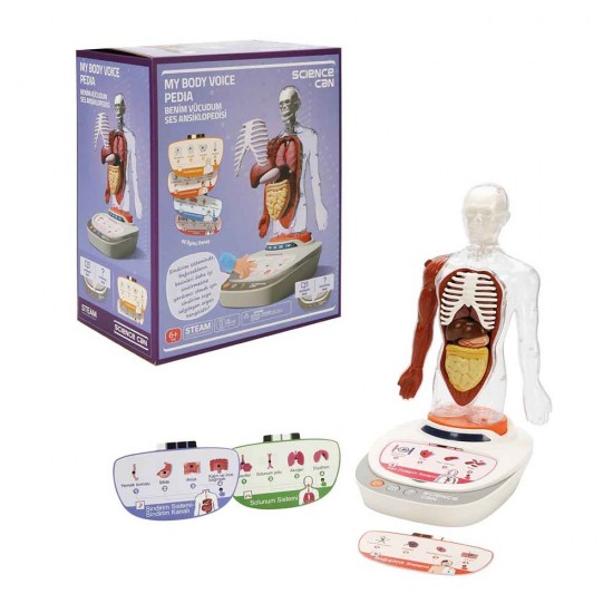 SUNMAN 5280 BİLİM İNSAN VÜCUDU MODELİ SETİ SES/IŞIK 23PRÇ