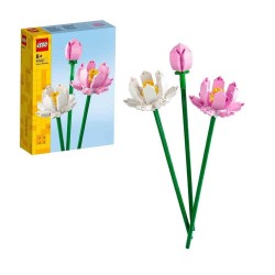 LFL40647 LOTUS FLOWERS