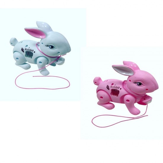 CAN 029 İPLİ IŞIKLI TAVŞAN