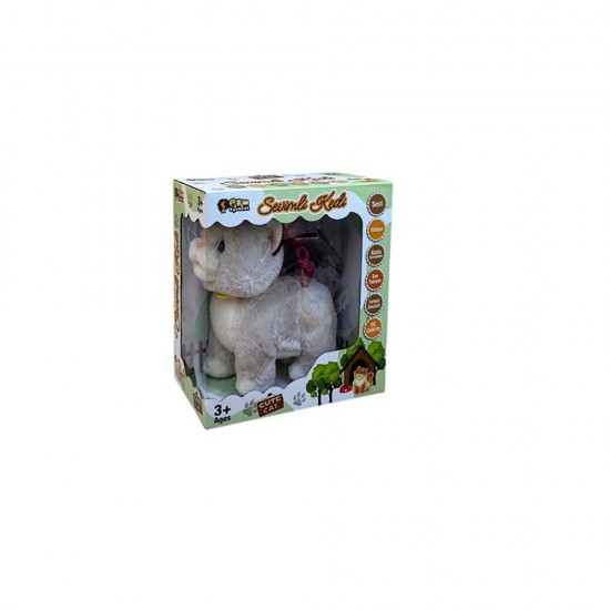 CAN 2160 KUMANDALI SESLİ KEDİ