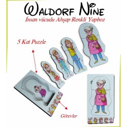 ANKEBUT 31814 WALDORF NİNE İNSAN VÜCUDU