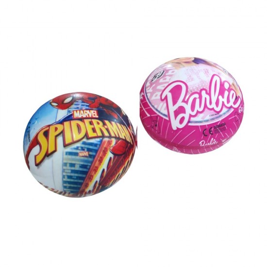 ASYA TP-46490 LİSANS BASKILI 23CM 4 ASS.TOP