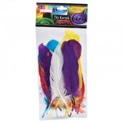 SÜDOR SS25 TÜY KARIŞIK 12Lİ