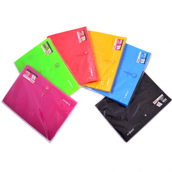 GLOBOX 2072 13 BÖLMELİ DOSYA 6 RENK KRŞ