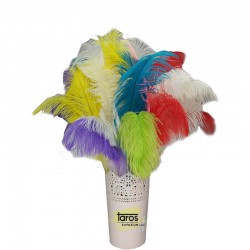 MORNİNG 857 VİNTAGE LABEL KUŞ TÜYÜ TÜKENMEZ KALEM 25CM