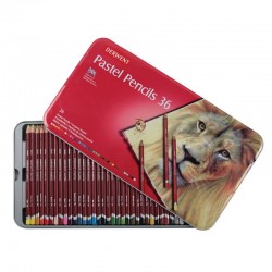 DERWENT 700307 PASTEL PENCIL 36LI TENEKE KT