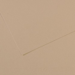 CANSON 343 FON KARTONU 50X65 GRİ