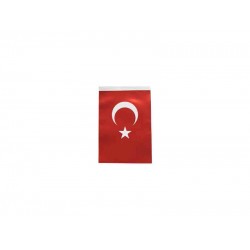 İNTER B-001 TÜRK BAYRAĞI 20X30