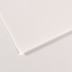 CANSON 335 FON KARTONU 50X65 BEYAZ C200271104