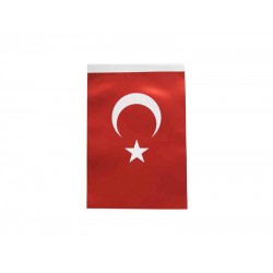 İNTER B-007 TÜRK BAYRAĞI 80X120