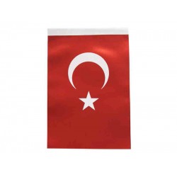 İNTER B-031 TÜRK BAYRAĞI 400X600