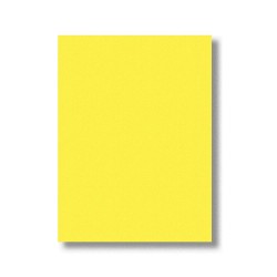 ADEL FON KARTONU 120GR 50X70 100LÜ AÇIK SARI 000030