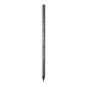 BİC EVOLUTION BLACK ECO KURŞUN KALEM 896017