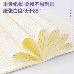 DELİ FA540 DİKİŞLİ DEFTER ÇİZGİLİ A5 40YP 100147425