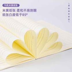 DELİ A540 DİKİŞLİ DEFTER ÇİZGİLİ A5 40YP 100147394