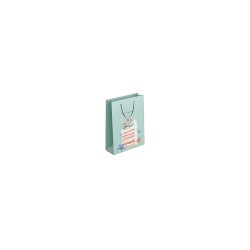 KESKİN 170017-99 KARTON ÇANTA D1 DİLİM PASTA