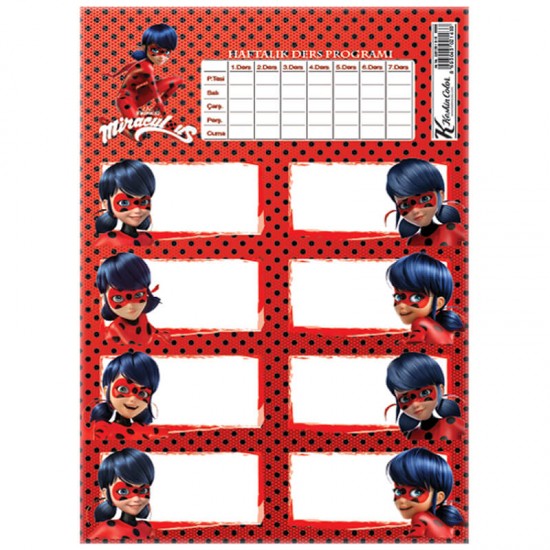 KESKİN 220130-84 LADY BUG DERS PROGRAMLI 3LÜ ETİKET