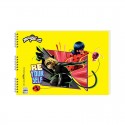 KESKİN 300215-84 25X35 15YP LADY BUG RESİM DEFTERİ