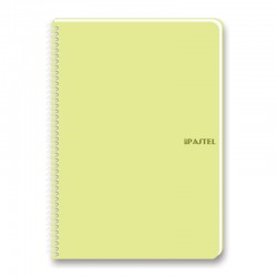KESKİN 327751-99 17X24 80YP ÇİZGİL PASTEL PP KPK DEF