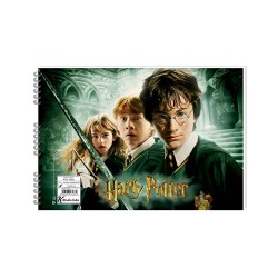 KESKİN 300215-07 25X35 15YP HARY POTTER RESİM DEFTERİ