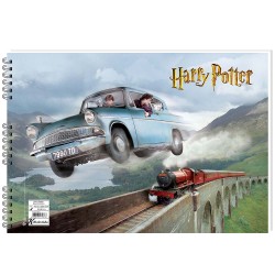 KESKİN 300315-07 35X50 15YP HARY POTTER RESİM DEFTERİ