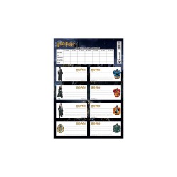 KESKİN 220130-07 HARRY POTTER DERS PROGRAMLI 3LÜ ETİKET