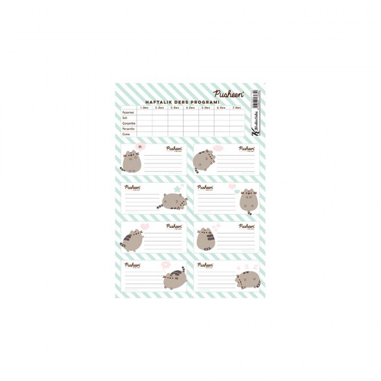 KESKİN 220130-10 PUSHEEN DERS PROGRAMLI 3LÜ ETİKET