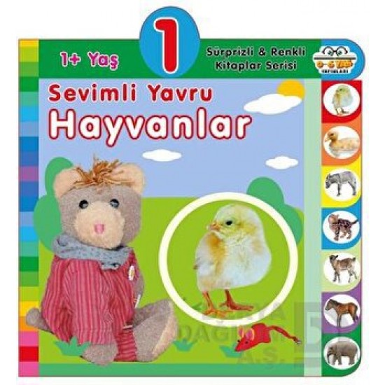 06 YAŞ YAYINLARI / SEVİMLİ YAVRU HAYVANLAR - 1+ YAŞ