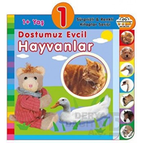 06 YAŞ YAYINLARI / DOSTUMUZ EVCİL HAYVANLAR - 1+ YAŞ