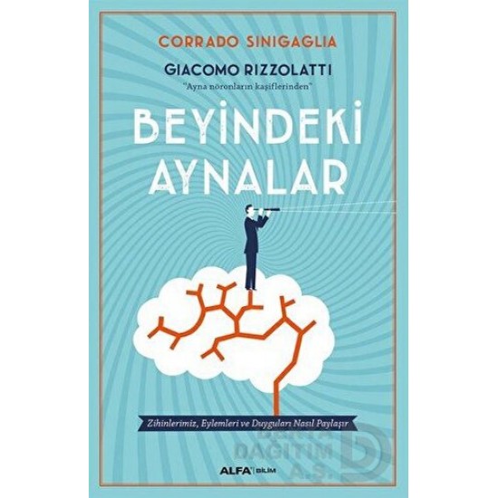 ALFA / BEYİNDEKİ AYNALAR ALFA / BEYİNDEKİ AYNALAR