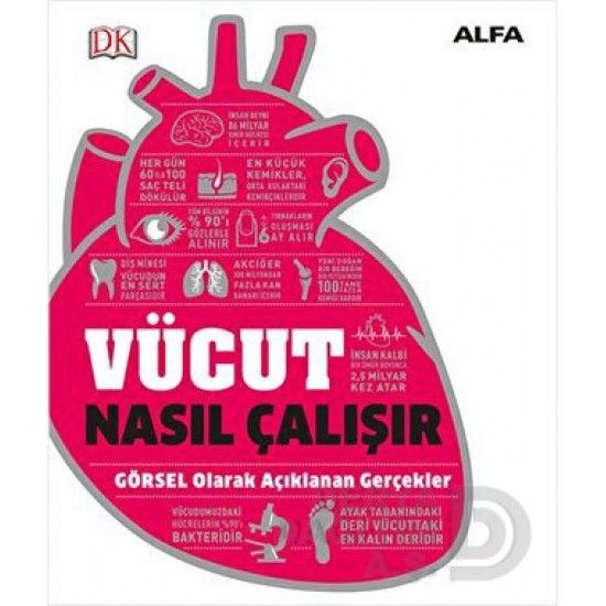 ALFA  / VÜCUT NASIL ÇALIŞIR - CİLTLİ