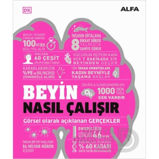 ALFA / BEYİN NASIL ÇALIŞIR - CİLTLİ ALFA / BEYİN NASIL ÇALIŞIR - CİLTLİ